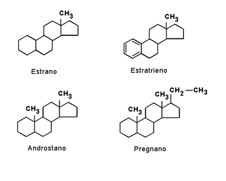 Estructura quimica de las hormonas esteroideas