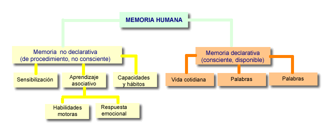 http://www.iqb.es/neurologia/memoria/memoria01.gif
