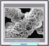 Microfotografía electrónica de un pericito