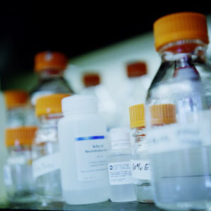 Investigación sobre la Diabetes: El Futuro