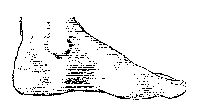 sidefoot.gif (883 bytes)