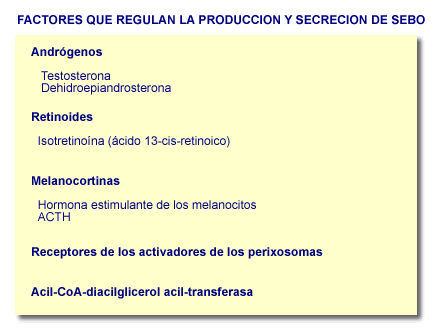 Factores que regulan la producci�n de sebo