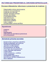 Factores de riesfo