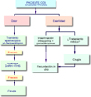 Algoritmo de tratamiento de la endometriosis