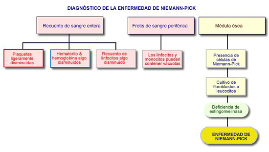 Enfermedad de niemann pick - Enfermedad de Niemann pick El tratamiento de  NP es principalmente - Studocu