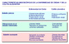 Enfermedad de Crohn: caractersticas endoscpicas