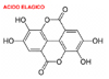 Monografa del cido elagico