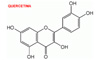 Monografia de la quercetina