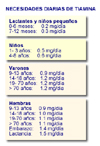 Necesidades de vitamina B1